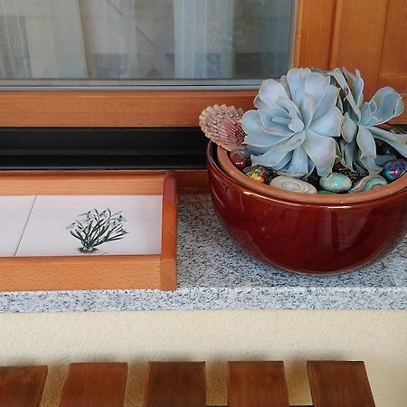 Apartment Aquileia Пула Екстер'єр фото